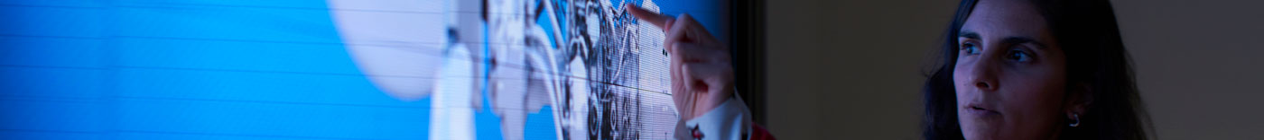 Bild zu GBS Transition Lead - Finance